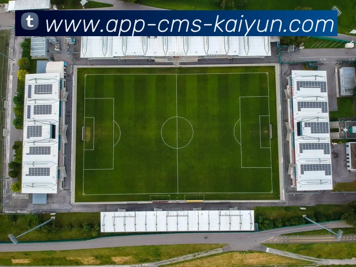 多媒体互动体验