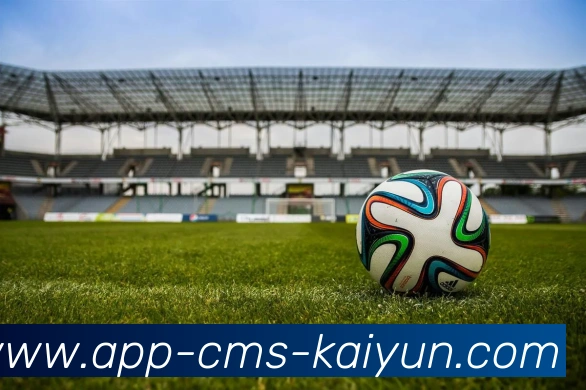 开云appAPP 体育赛事宣传图